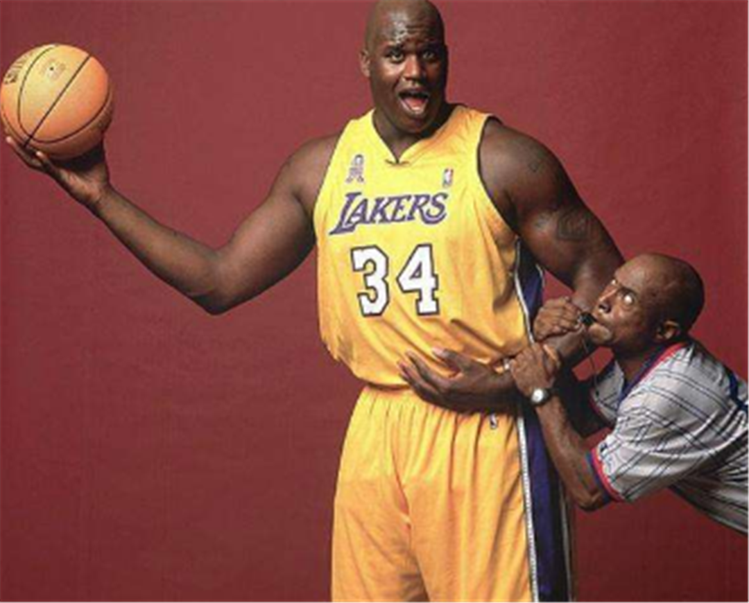 数最多之一 数最多之一